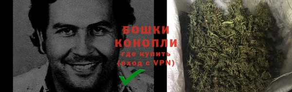 ECSTASY Чекалин