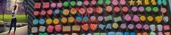 молекула духа Чердынь
