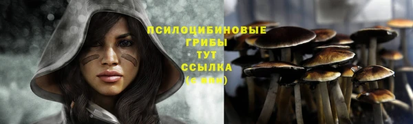 молекула духа Чердынь