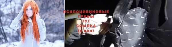 молекула духа Чердынь