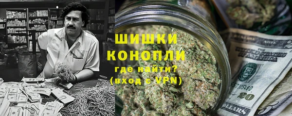 ECSTASY Чекалин