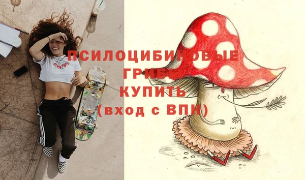 ECSTASY Чекалин