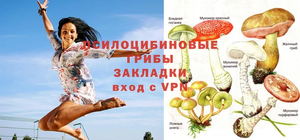 молекула духа Чердынь