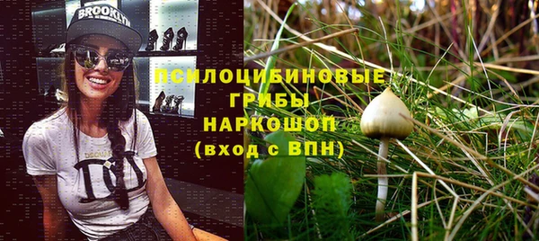 ECSTASY Чекалин