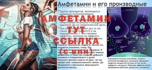гашик Шадринск