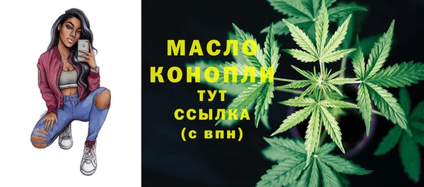 гашик Шадринск